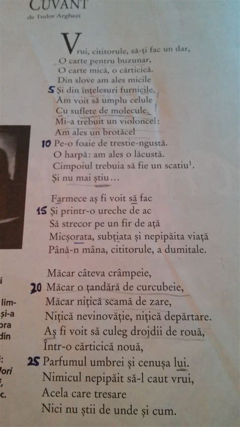 poezia tatăl meu de tudor arghezi|tudor arghezi mama lui.